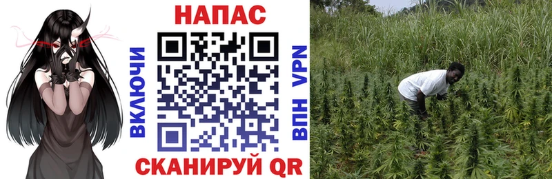 Героин Сибай